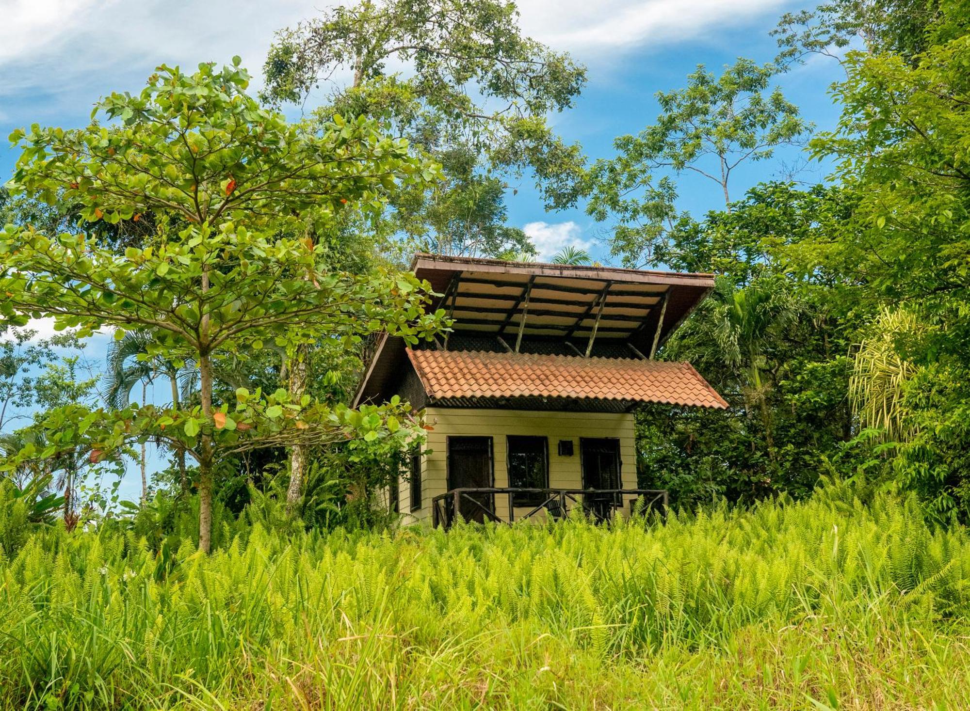 Maquenque Ecolodge Boca Tapada Εξωτερικό φωτογραφία